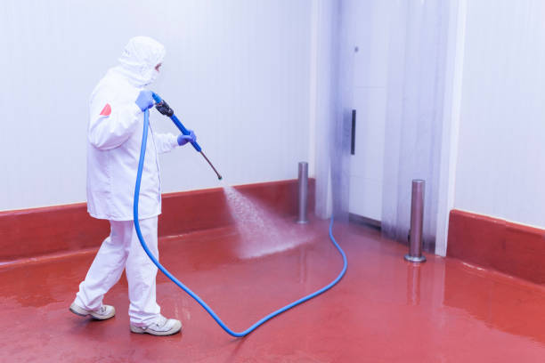 Best Roof Washing  in Greenville, DE