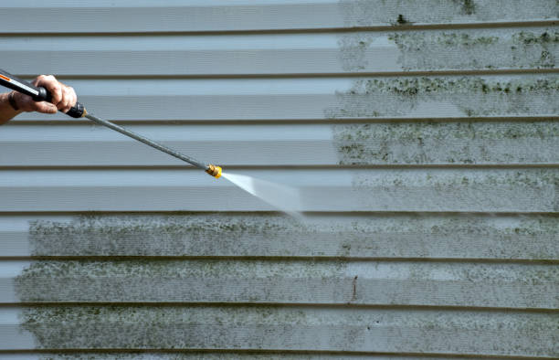 Best Patio and Deck Pressure Washing  in Greenville, DE